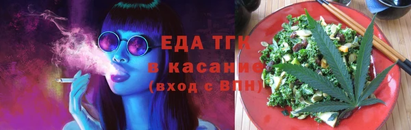 индика Вязьма