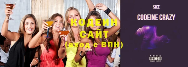 индика Вязьма