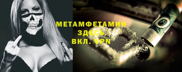 шишки Верхний Тагил
