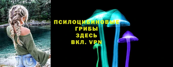 стафф Волоколамск
