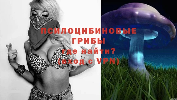 шишки Верхний Тагил