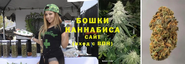 шишки Верхний Тагил